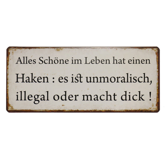 Blechschild: Alles Schöne im Leben hat einen Haken: es ist unmoralisch, illegal oder macht dick!