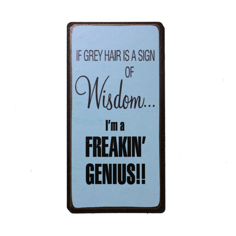 Magnet: If grey hair is a sign of wisdom... I'm a freakin' genius!!