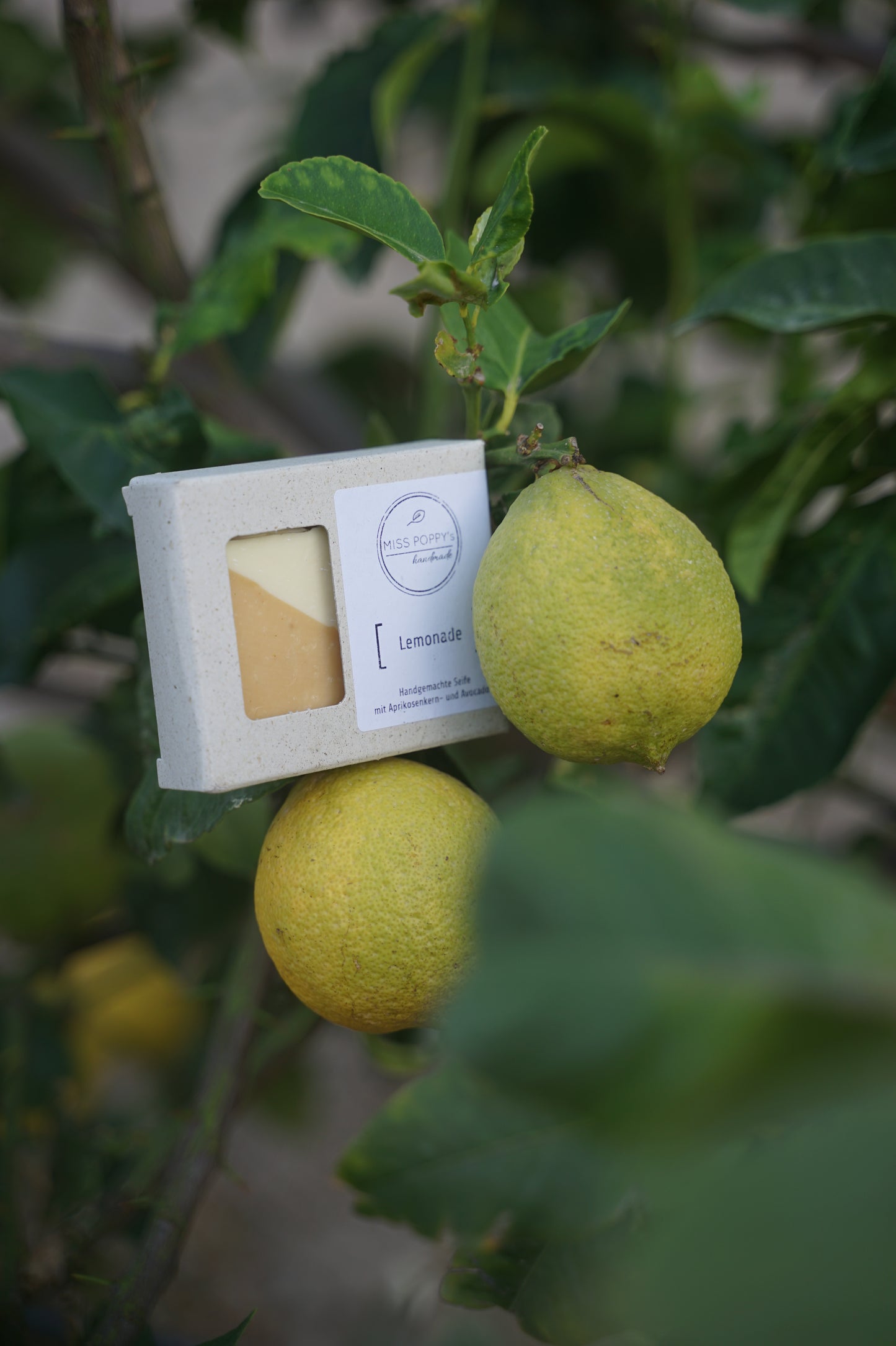 Feste Ganzkörperseife: Lemonade von miss poppy's