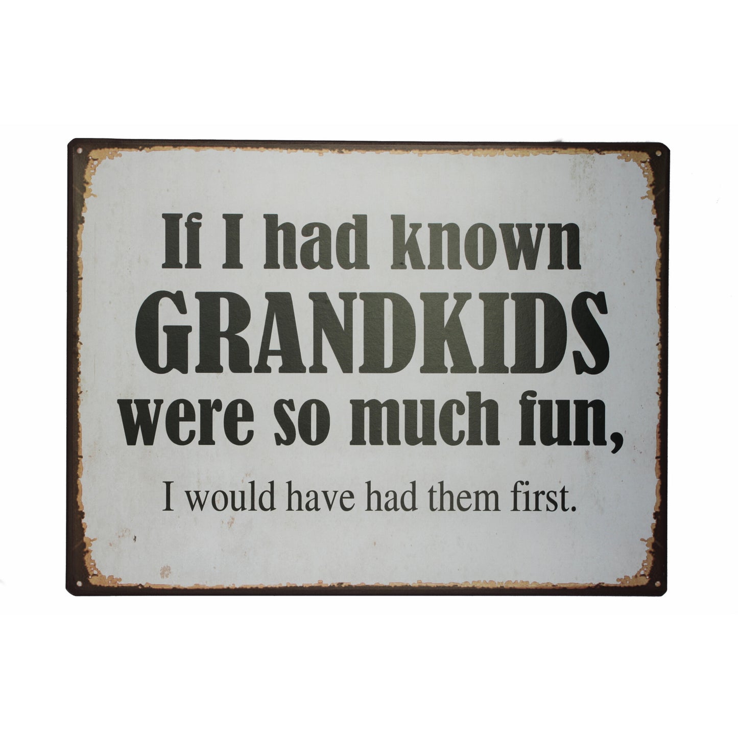 Blechschild: If I had known grandkids were so much fun, I would have had them first
