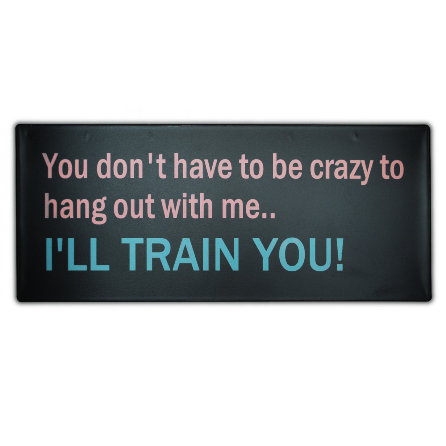 Blechschild: You don't have to be crazy to hang out with me... I'll train you